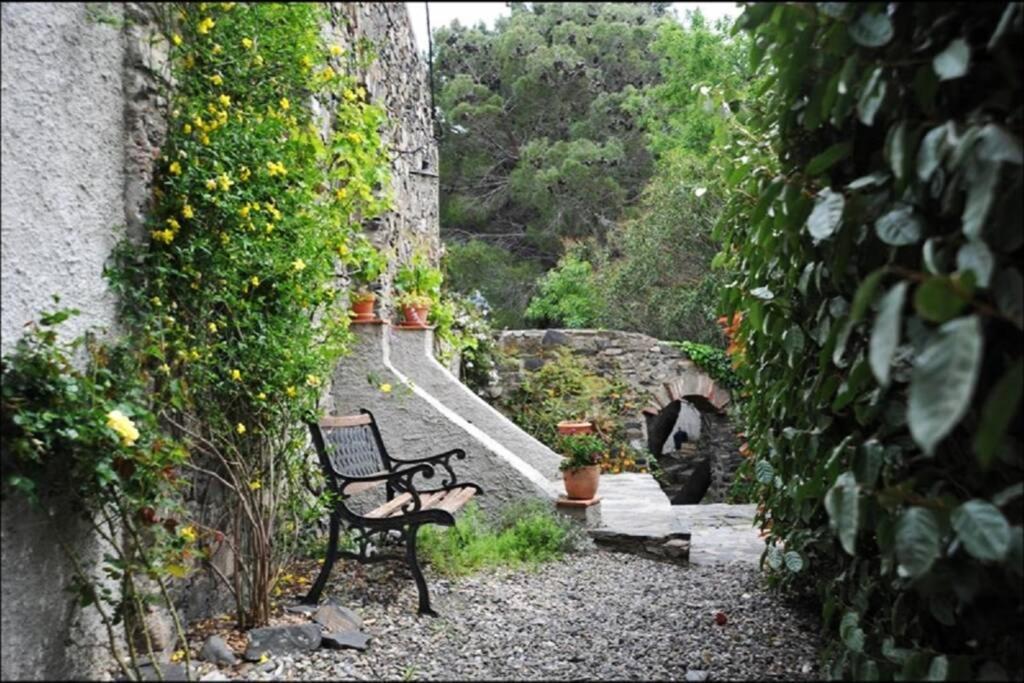 Charmant Mas tout équipé en pleine nature catalane Cases-de-Pene Esterno foto